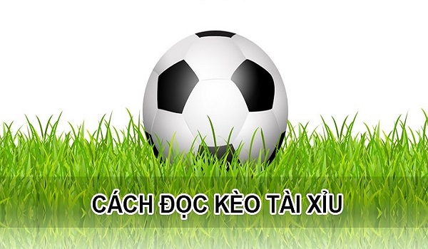 Kinh nghiệm của cao thủ khi chơi kèo tài xỉu